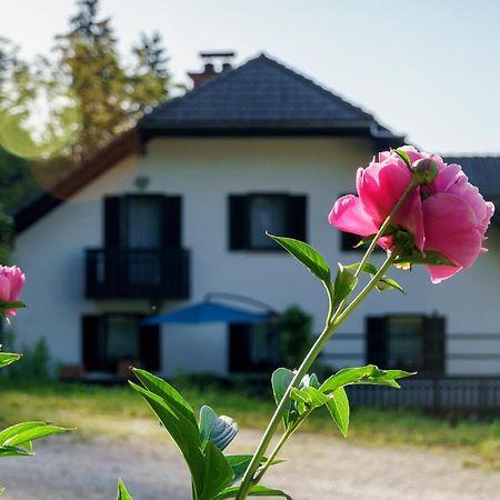 Apartments Zakrasnik Škofja Loka Eksteriør billede