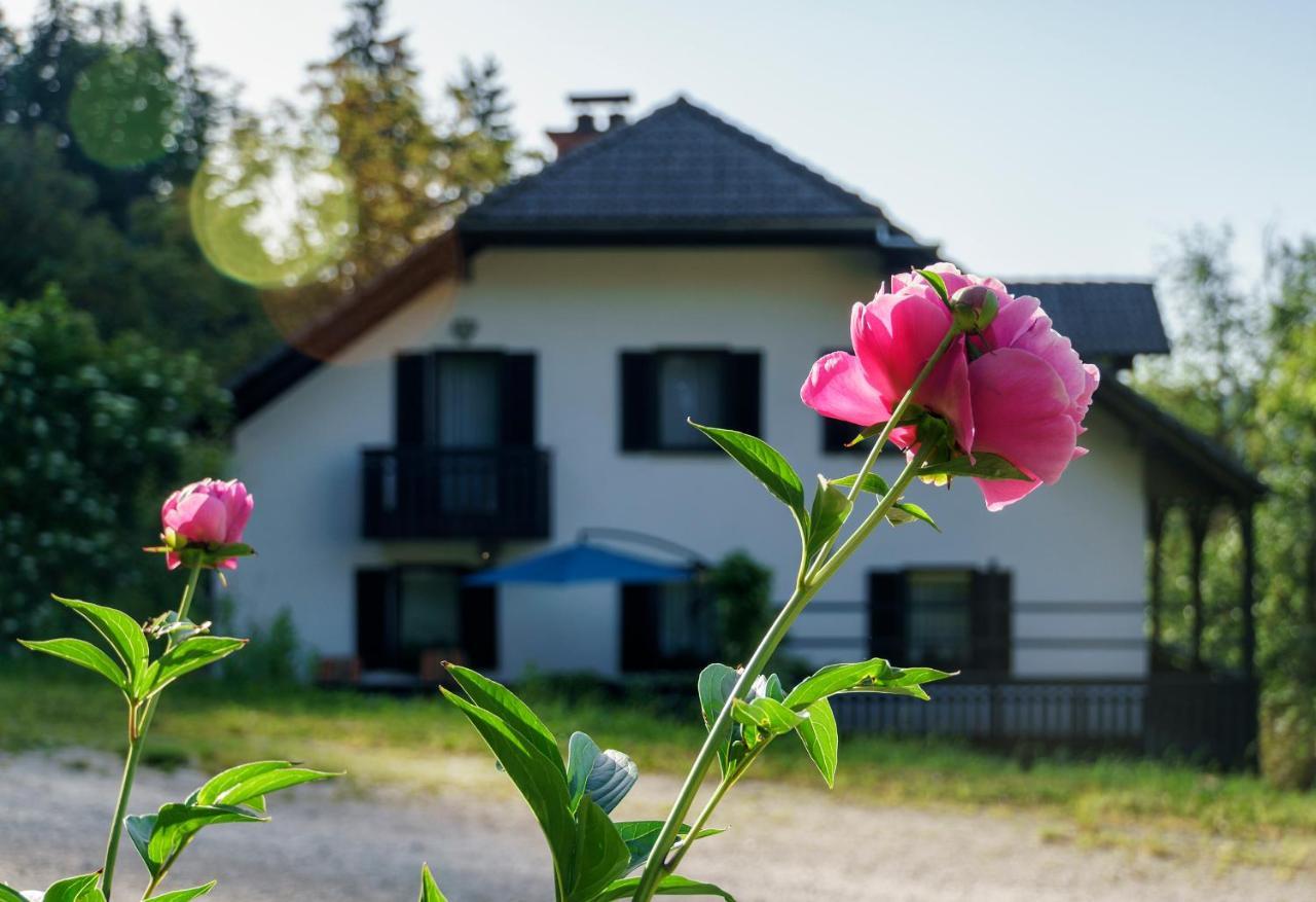 Apartments Zakrasnik Škofja Loka Eksteriør billede