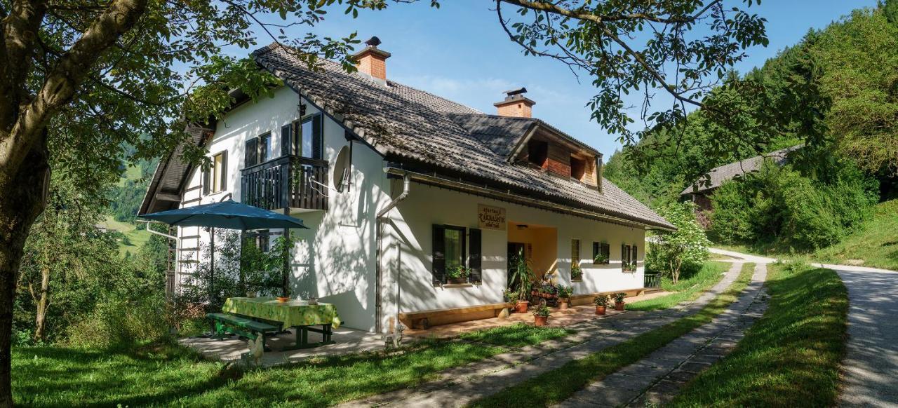 Apartments Zakrasnik Škofja Loka Eksteriør billede